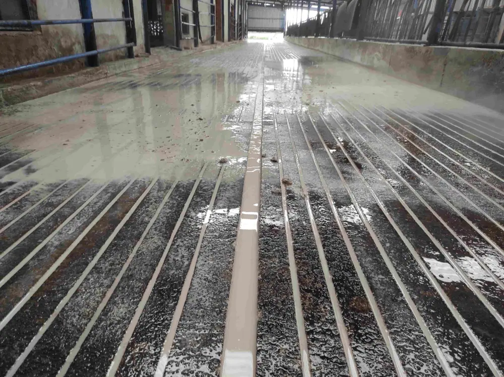 Çiftlik içinde beton geçiş alanında paralel kanallar.