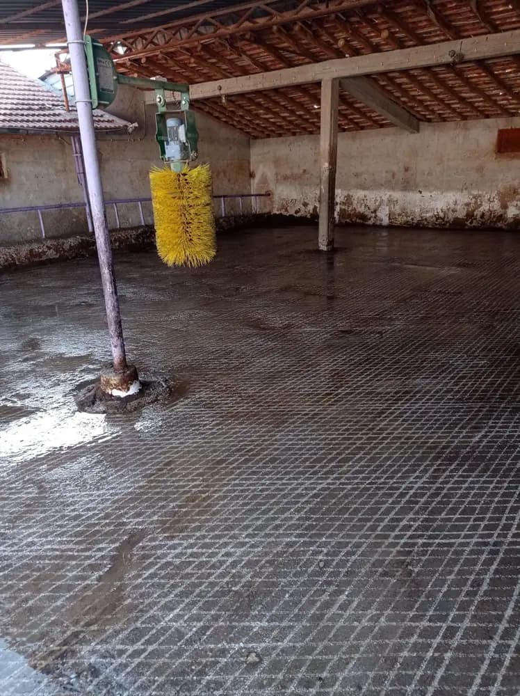 Çiftlik bölmeleri boyunca işlenmiş beton zemin.