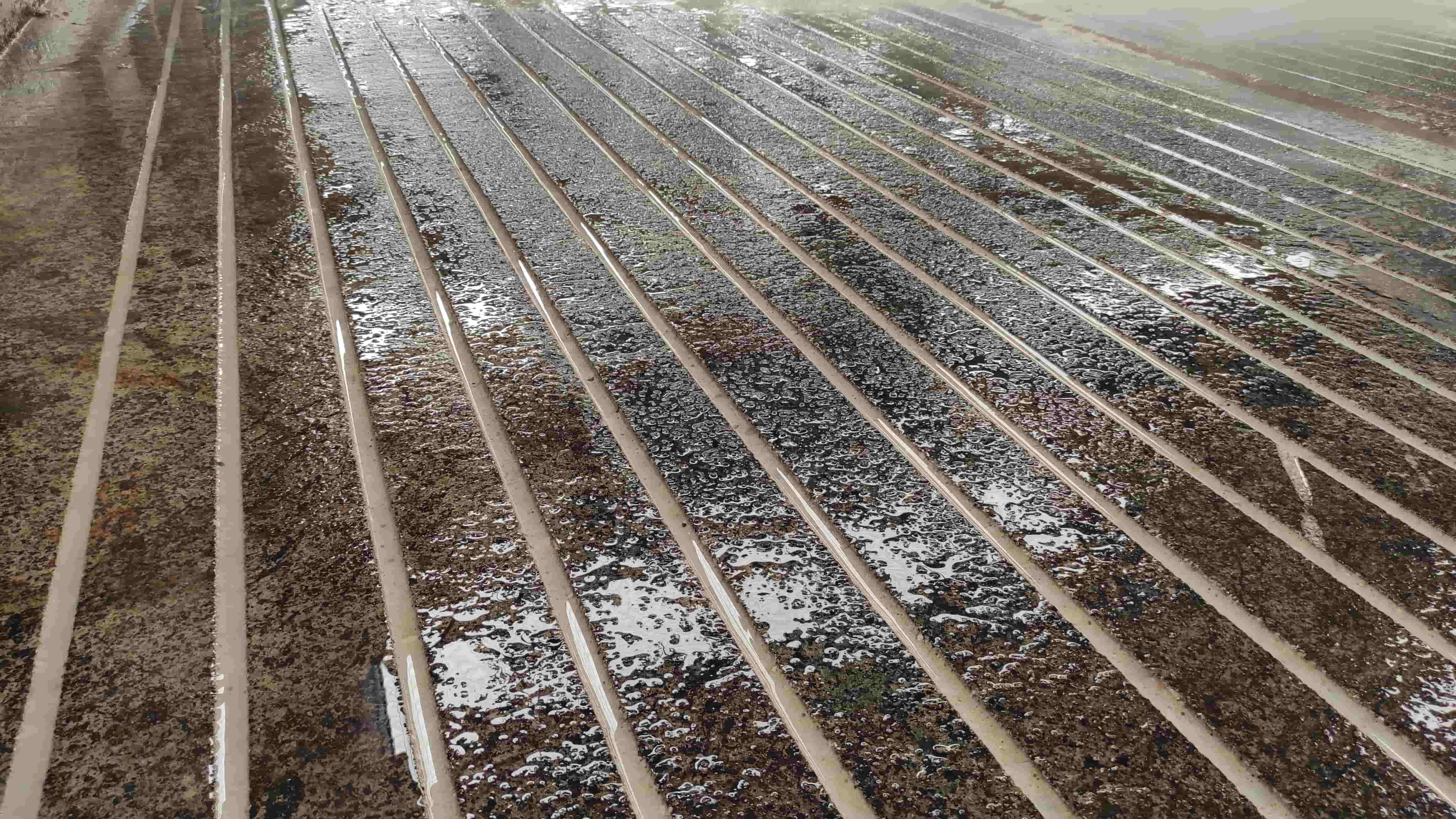 zemin-asindirma uygulama 1