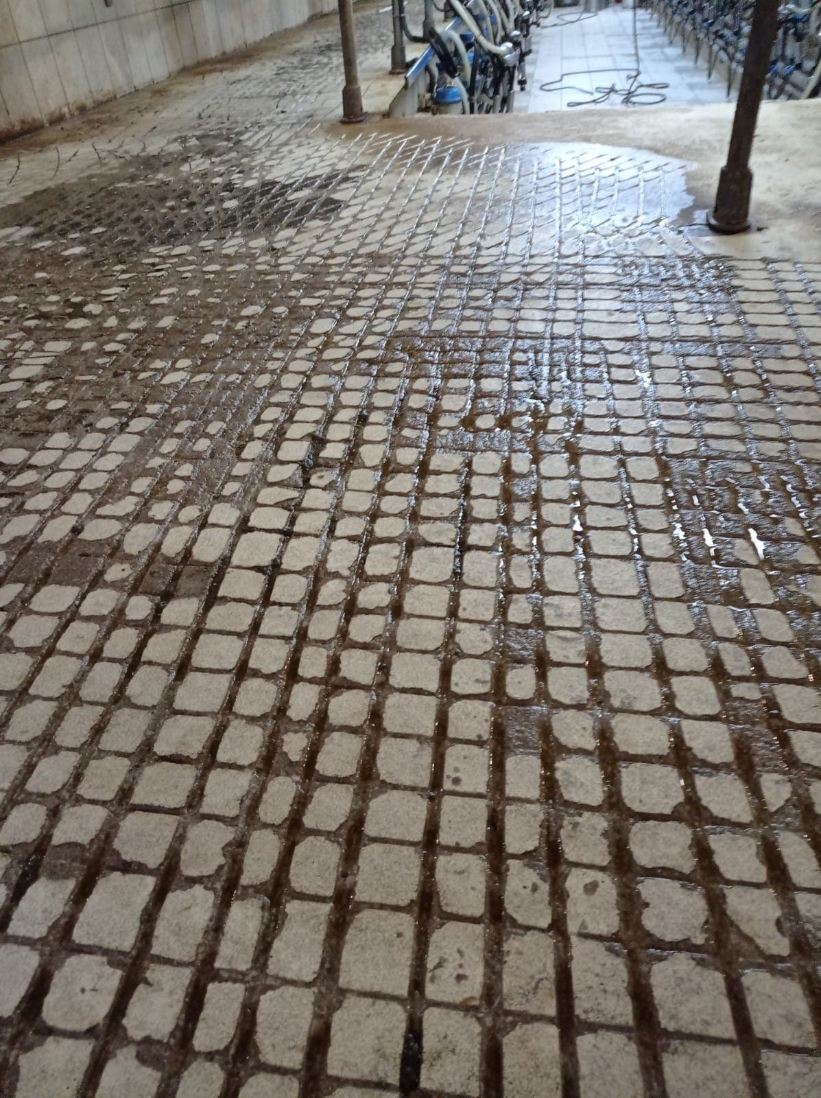 zemin-asindirma uygulama 9